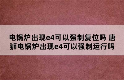 电锅炉出现e4可以强制复位吗 唐狮电锅炉出现e4可以强制运行吗